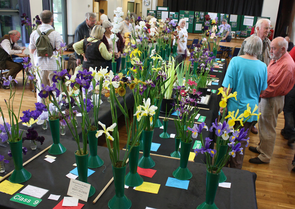 West & Midlands Iris Show